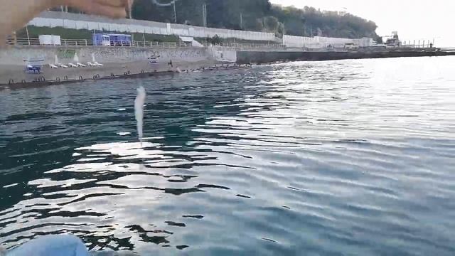 Морская рыбалка с волнореза в Сочи. Рыбачка - такса. смотреть онлайн