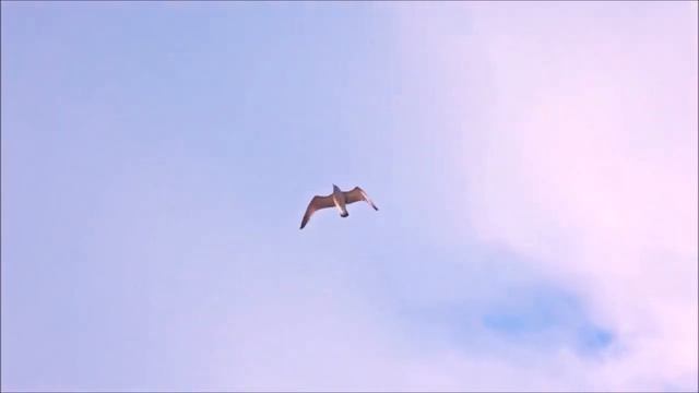 Читайте азбуку рассветов ! смотреть онлайн