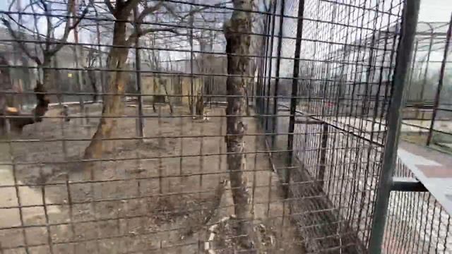 Малышка Ангелина научилась КОКЕТНИЧАТЬ ))) смотреть онлайн