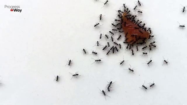 Игры и Развлечения