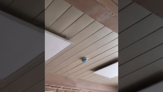 Реечный потолок под бук беленый смотреть онлайн