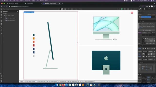 CMS Dynamic Color Gallery in webflow | Apple example layout смотреть онлайн