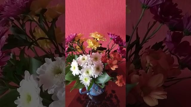 У меня приятный бонус, красивый букет цветов. смотреть онлайн
