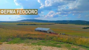 Лакон и Мериноланд - молочные овцы и мясные овцы в КФХ Feodoro. Рассказ о хозяйстве. Крым