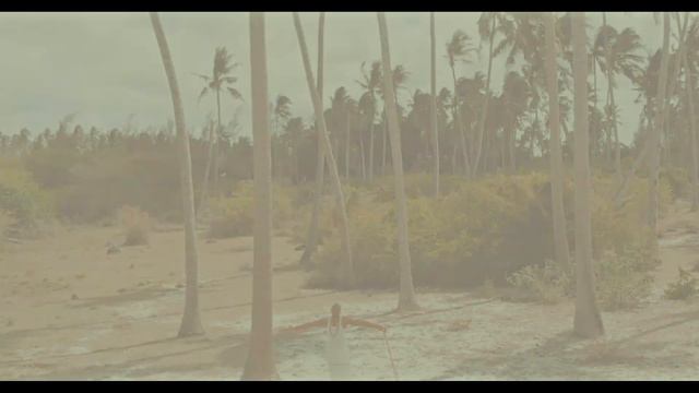 MANU BAYAZ Kahonzi na Patrick Official Video смотреть онлайн