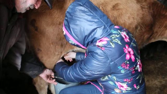 Путешествие по Грузии, Джип-туры в Самцхе-Джавахети смотреть онлайн