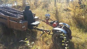 Мотоблок MF-70. Осень 2022 г. Сбор валежника.