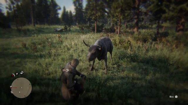 Red Dead Redemption 2 Lasso Bull смотреть онлайн