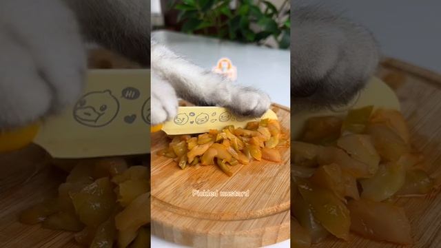 Я КОТ И Я ГОТОВЛЮ