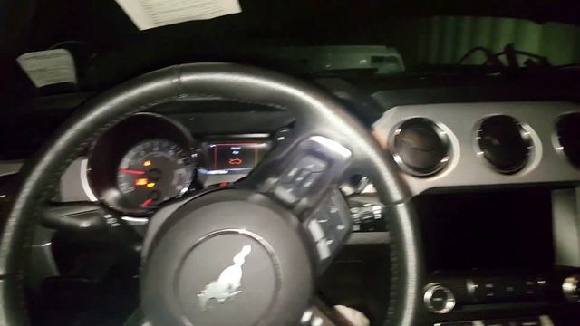 ООО "ИмпортАвто" Растарка контейнера с Мустангами в ЗТК Северо-Западного акцизного таможенного пост смотреть онлайн