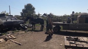 Заготовка сеннажа при помощи лошади.