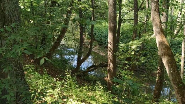 Обзор полезных вещей для дачи #13 смотреть онлайн