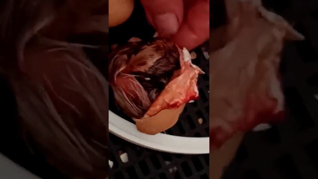 Как можно помочь цыпленку вылупиться из яйца смотреть онлайн