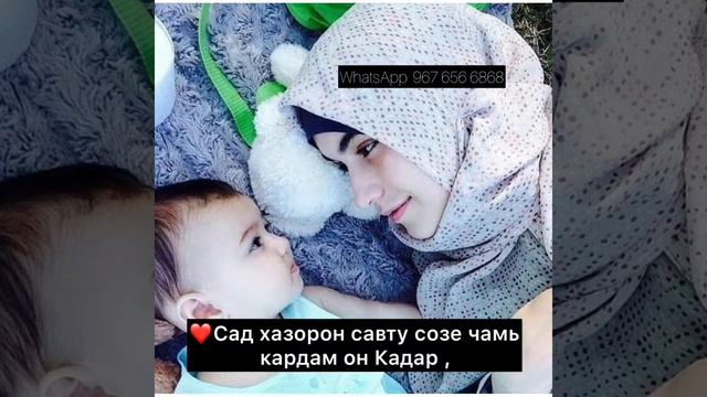 Модар #Модар