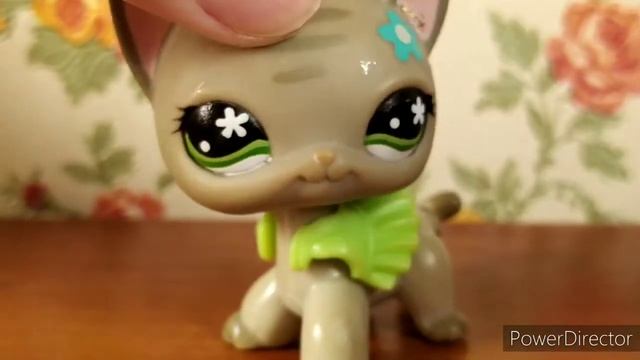 КАК УБРАТЬ С LPS РУЧКУ БЕЗ ВСЯКИХ СРЕДСТВ? смотреть онлайн