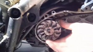 Honda Zoomer не заводится с кнопки. 1