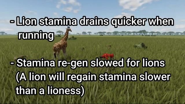 Roblox Wild Savanna - Lioness animations for RECODE + Updates - No corpse guarding - Lion stamina смотреть онлайн