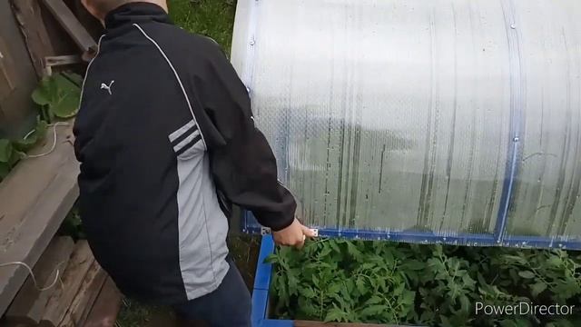 Самодельный огуречник и парник из поликарбоната смотреть онлайн