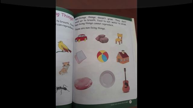 non living things смотреть онлайн