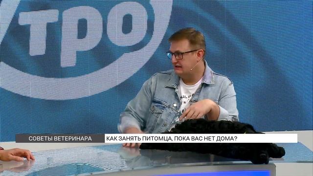 Чем занять питомца, пока вас нет дома? смотреть онлайн