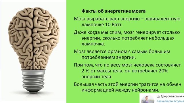 Щитовидная железа и мозг смотреть онлайн