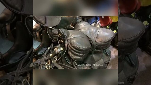 Карачаевское седло. Карачаевская порода лошадей. смотреть онлайн