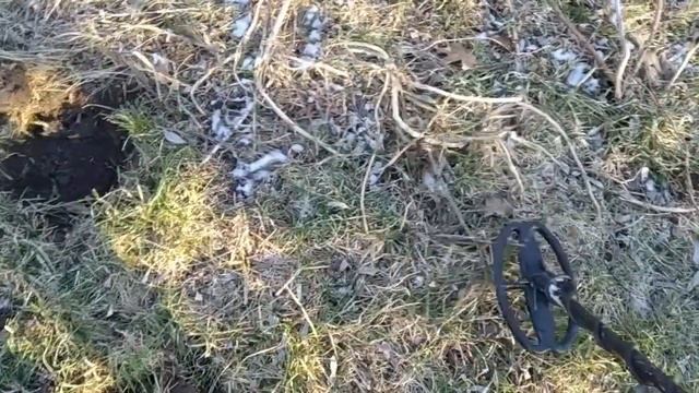 Опять вышел на пляж с металлоискателем Тесоро смотреть онлайн