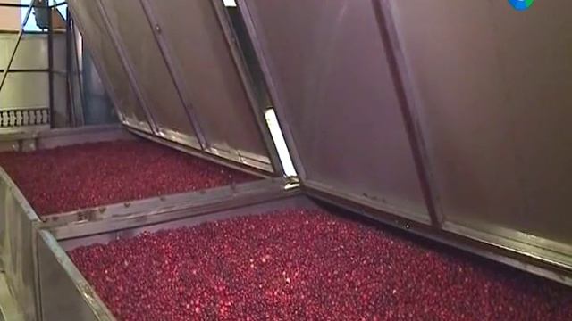Маркетинговые хитрости или обман покупателей: на какие уловки идут производители продуктов питания. смотреть онлайн