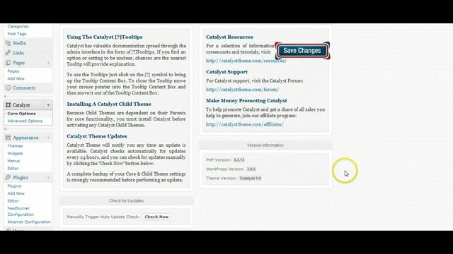 A Video Overview of the Catalyst WordPress Theme смотреть онлайн