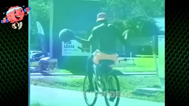 Like a Boss | Amazing Skills & Talents | Moments You Won’t Regret Watching #71 смотреть онлайн