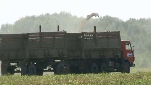 Агрохолдинг "Сибиряк" провел выездное совещание смотреть онлайн