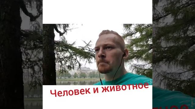 Принципиальное отличие Человека от животного смотреть онлайн