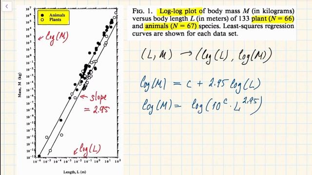 Example of a plot on log-log scale смотреть онлайн