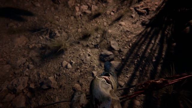 Outlast 2 - Прохождение на ПСИХЕ! - ПОЛНОЕ ВИДЕО. смотреть онлайн