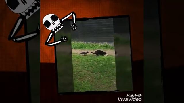 Ворона тоже хочет жрать смотреть онлайн