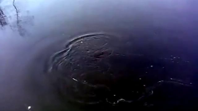 Рыбалка Белоозёрск, сом 7 кг смотреть онлайн