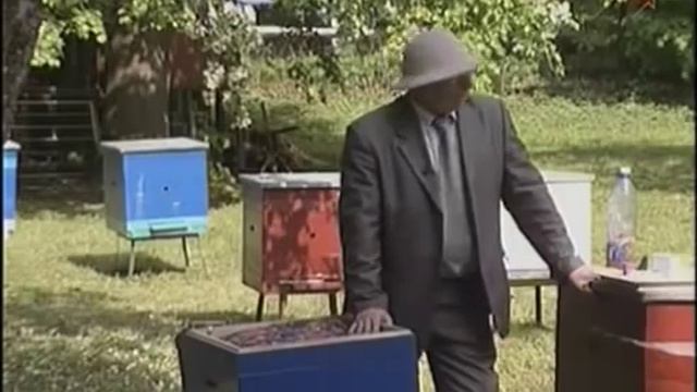 Работа на пасеке в ранне-летний период. смотреть онлайн