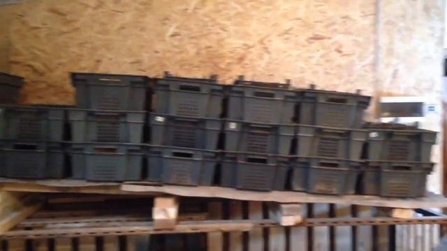 Лучшее удобрение для растений - Биогумус. Калифорнийский червь. смотреть онлайн