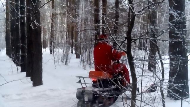 Покатушки на снегоходе IRBIS DINGO T150. Видео с телефона. смотреть онлайн