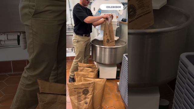 Приготовление теста в европейской пекарне смотреть онлайн