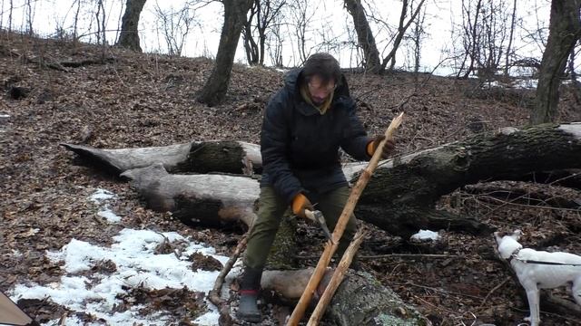 Дубровский и хвост уходит смотреть онлайн