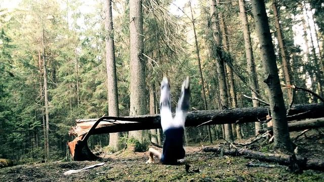 Rustam Gamaev Alone with the forest.mp4 смотреть онлайн