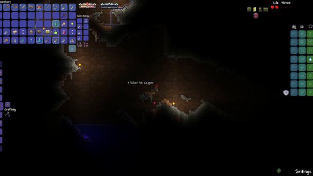 Terraria Calamity Ranger first time playing (But not blind read desc.) смотреть онлайн