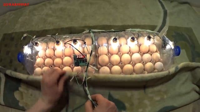 How to make a home incubator out of a water bottle | كيفية صنع حاضنة منزلية من زجاجة ماء смотреть онлайн