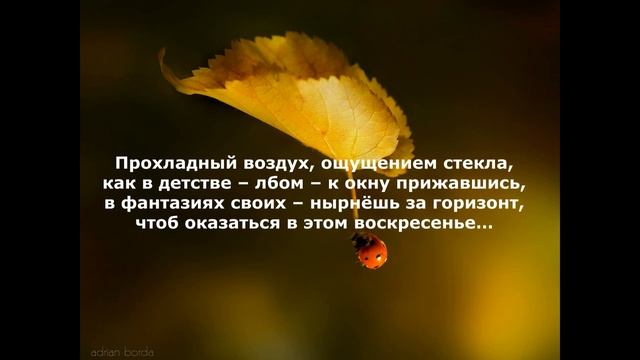 ОСЕННЕЕ ПЕРЕЖИВАНИЕ смотреть онлайн