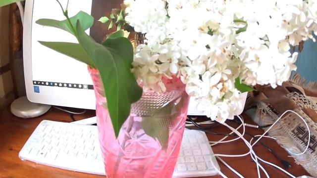 Белая Сирень -какой фон выбрать? смотреть онлайн