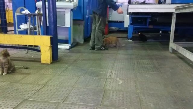 Воздухотехника