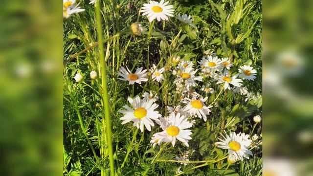 МУЖЧИНЫ - ЖЕНЩИНЫ смотреть онлайн