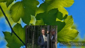 Детектив на миллион, 1-4 серии