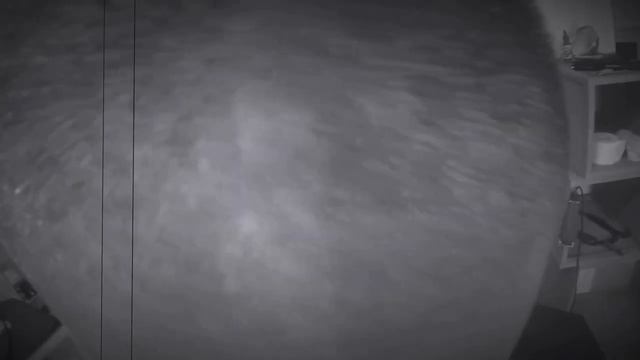 Barbershop Barber Brbrlion  Cesar Fade